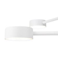 Люстра на штанге Freya Tactic FR5363CL-04W