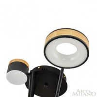 Потолочная люстра Arte Milano 272040/8 BK/GD