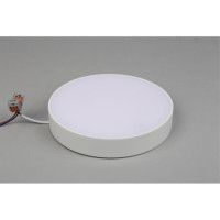 Потолочный светильник Aployt Evon APL.0114.09.24