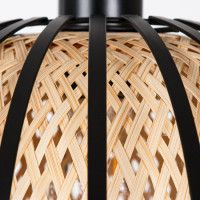 Подвесной светильник Arte Lamp Woodstock A7071SP-1BK