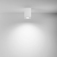 Потолочный светильник Maytoni Alfa C017CL-01W