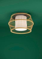 Потолочный светильник Eglo Monterroso 390232