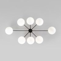 Потолочная люстра Eurosvet Opaline 70220/8 черный Smart a065767