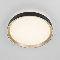 Потолочный светильник Citilux Boss CL751351G