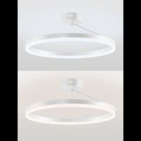 Потолочная люстра Natali Kovaltseva Finam LED LAMPS 81121/1C