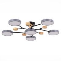 Люстра на штанге Evoluce Faema SLE6006-702-06