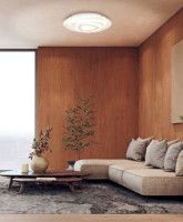 Потолочный светильник Eglo Palagiano 900864