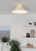 Потолочный светильник Eglo Moharras 900736