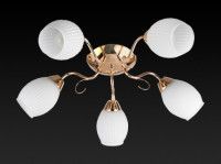 Потолочная люстра Toplight Kristin TL3520X-05FG