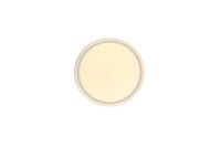 Потолочный светильник Zortes Bella ZRS.1200.04