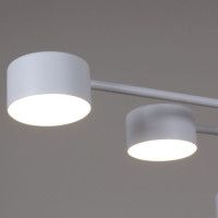 Люстра на штанге Reluce 03708-0.3-10 WT GX53