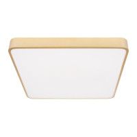 Потолочный светильник Loft IT Flims 10228/D