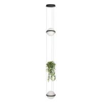 Подвесной светильник Loft IT Jardin 10121/2P Dark grey