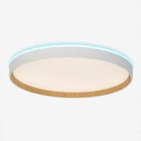 Потолочный светильник Citilux Etalon CL750400R