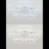 Потолочная люстра Natali Kovaltseva Simply LED LAMPS 81122/5C