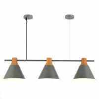 Подвесной светильник Evoluce Modica SLE125113-03