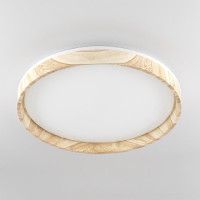 Потолочный светильник Citilux Enzo CL753452G