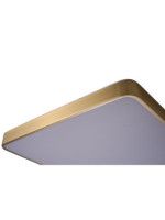 Потолочный светильник Zortes Monna ZRS.1209.05