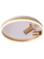 Потолочный светильник Zortes Raizy ZRS.1888.02