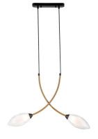 Подвесной светильник Indigo Fiore 13001/2P Black V000140