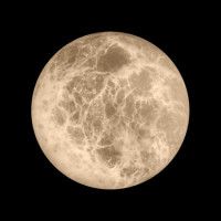 Настенный светильник Loft IT Emi 10414W/M