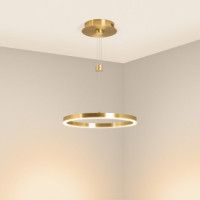 Подвесной светильник Arlight SP-CONGO-CAN-1-R400-24W Warm3000 (GD, 120 deg, 230V) 046209