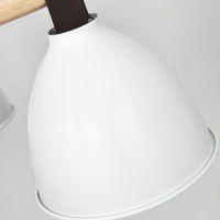 Потолочная люстра ImperiumLoft Flan 101588-26