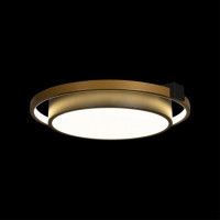 Потолочный светильник Loft IT Mike 10169