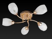 Потолочная люстра Toplight Lucy TL7120X-05FG