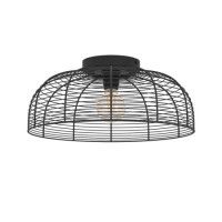 Потолочный светильник Eglo Rinroe 43896