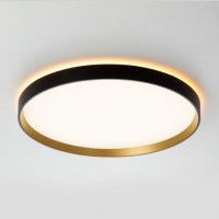 Потолочный светильник Citilux Etalon CL750401R