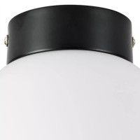 Потолочный светильник Lightstar Globo 812017