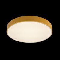 Потолочный светильник Loft IT AXEL 10002/24 Yellow