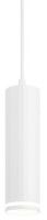 Подвесной светильник Эра PL19 WH Б0058491