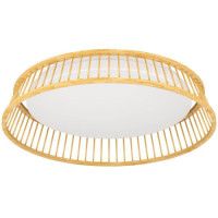 Потолочный светильник Eglo Luppineria 900797