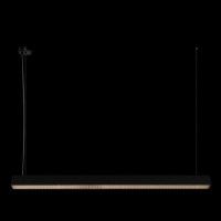 Подвесной светильник Loft IT Vim 10318/C Black