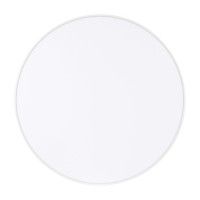 Потолочный светильник Arlight IM-RONDO-EMERGENCY-3H-R250-33W Day4000 (WH, 120 deg, 230V) 041061