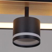 Потолочный светильник Reluce 19560-0.3-2+2 BK+WOOD