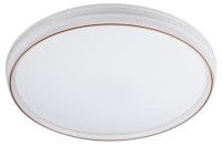 Потолочный светильник Эра SPB-6-80-RC Solar Б0054484