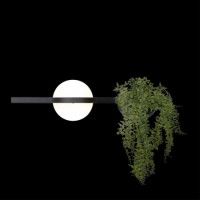 Настенный светильник Loft IT Jardin 10121W/A