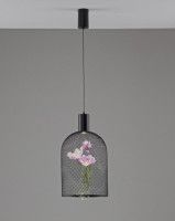 Подвесной светильник Moderli Ophelia V11875-PL