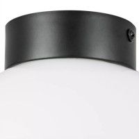 Потолочный светильник Lightstar Globo 812117