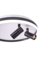 Потолочный светильник Zortes Raizy ZRS.1888.01