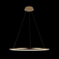 Подвесной светодиодный светильник Loft IT Ring 10014L