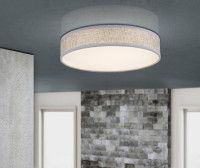 Потолочный светодиодный светильник Globo Paco 15185D2