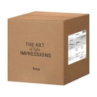 Подвесной светильник Freya Sara FR5130PL-01BS