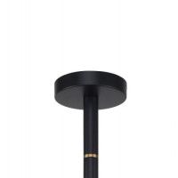 Люстра на штанге Favourite Eternity 2766-6P