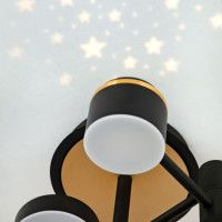 Потолочная люстра LED4U L3120-6