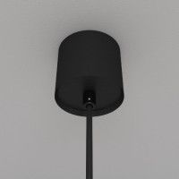 Подвесной светильник Maytoni Luna P039PL-5W3K-10-B