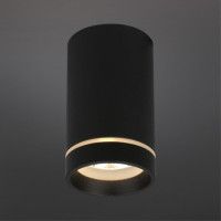 Потолочный светильник Aployt Edda APL.0053.19.10